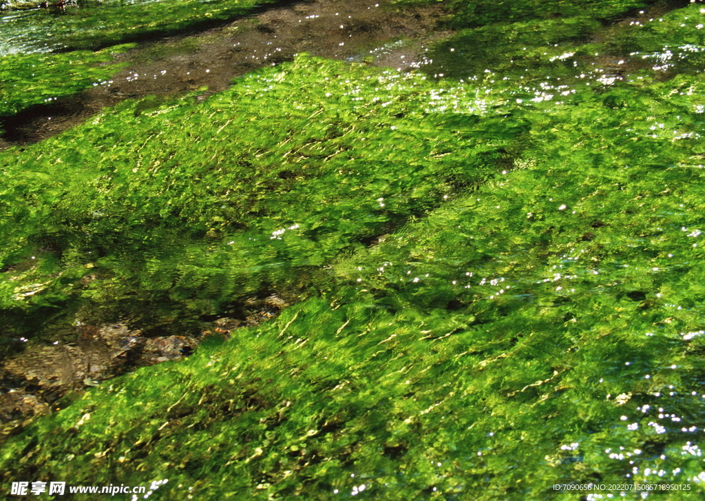 山涧溪流         