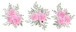 鲜花贺卡