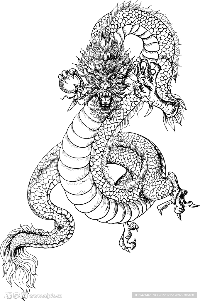 龙插画