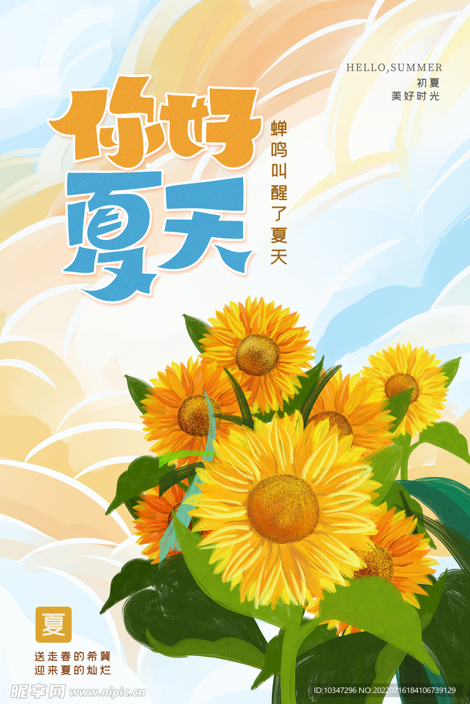 夏天你好  