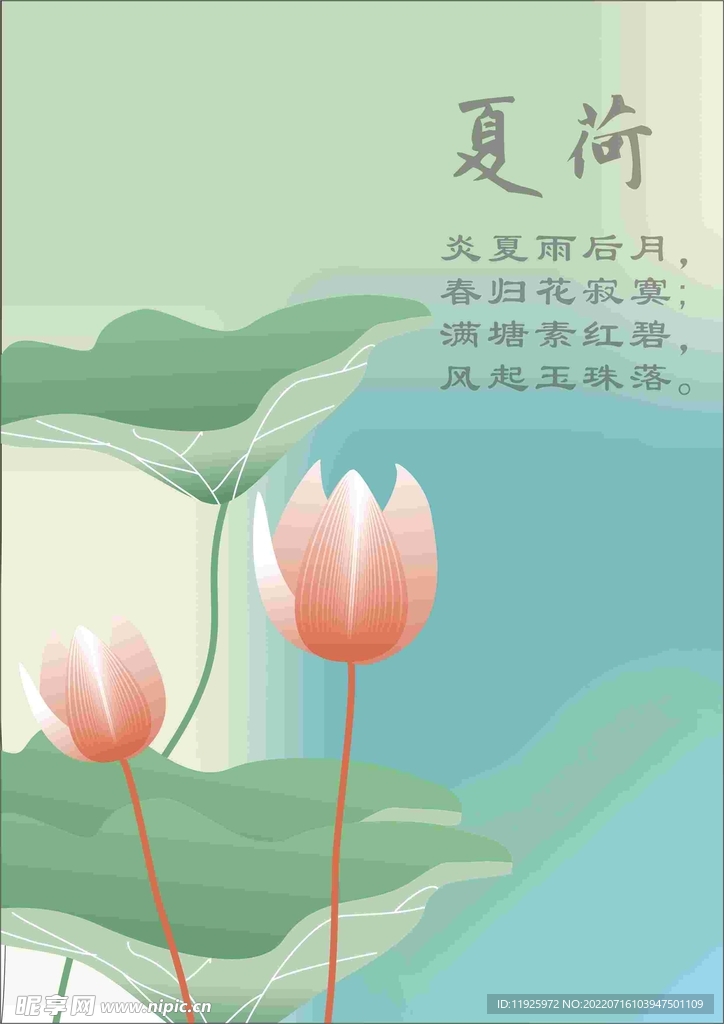 夏荷 
