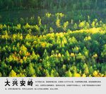 大兴安岭景点介绍展板