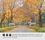 明孝陵景点介绍展板