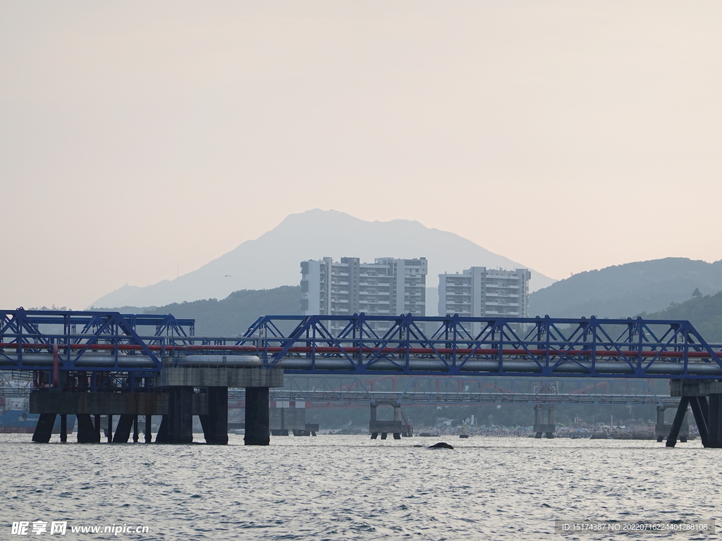 海
