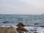 大海