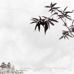 国风中式水墨画