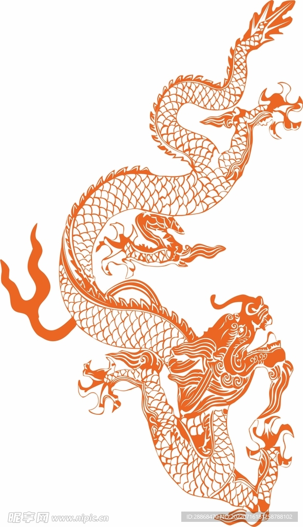 龙