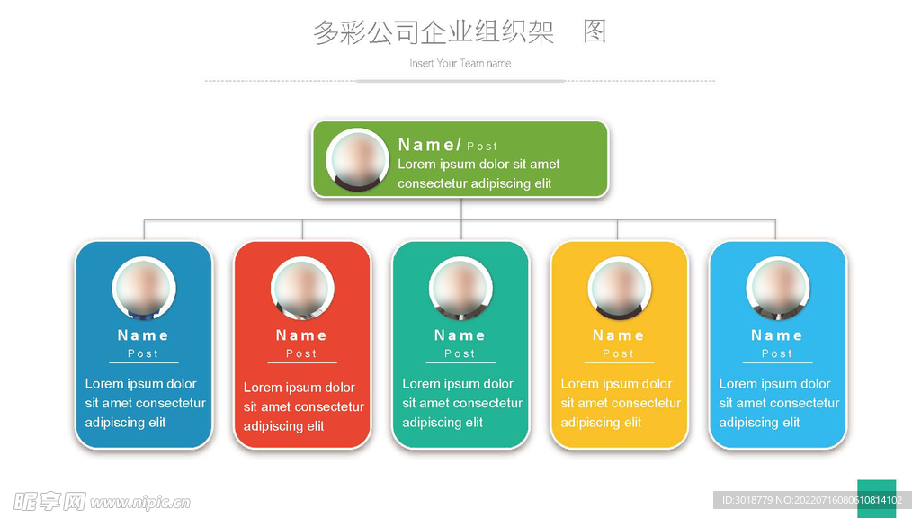 组织构架图 