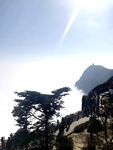 风景