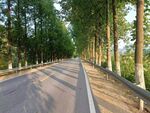 公路