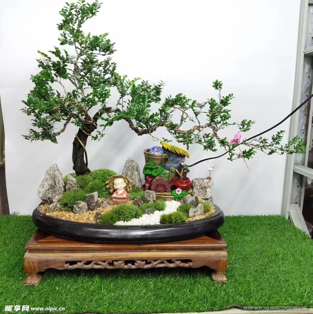 盘景