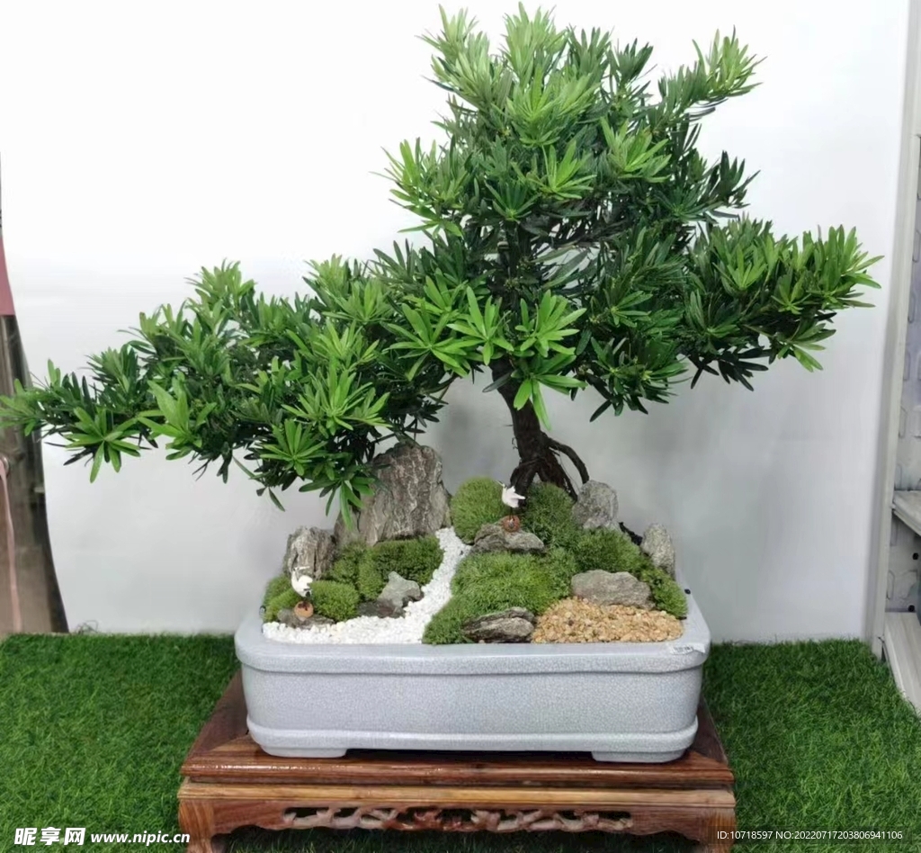 盘景