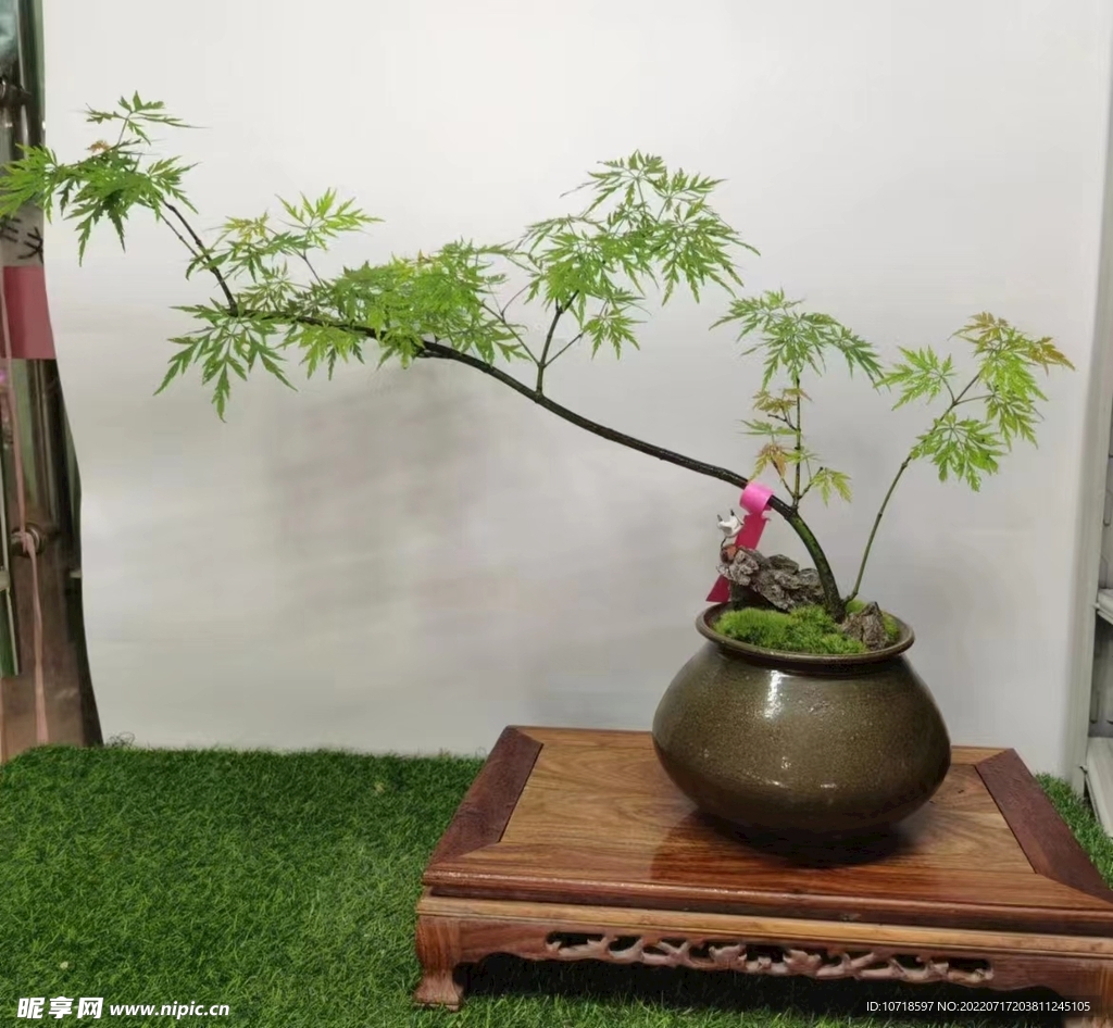 盘景