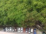山脚下的景色