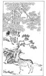 贺寿