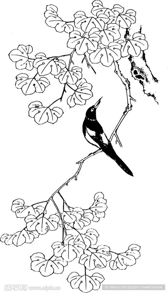 花鸟