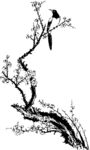 花鸟