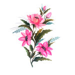 花