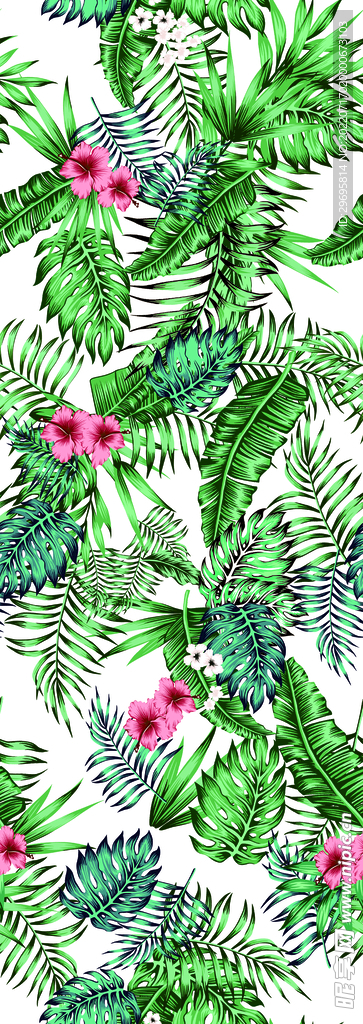 热带花