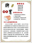 保养脾胃