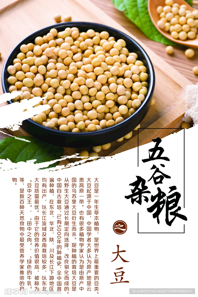 五谷杂粮之大豆