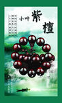 紫檀手串