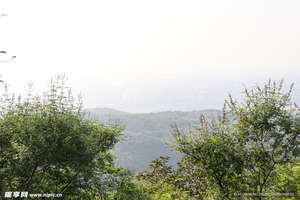 大山 大草地 