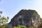  云海 黄山松 装