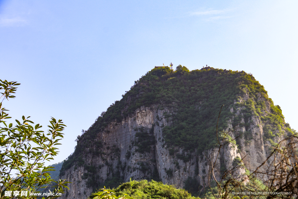  云海 黄山松 装