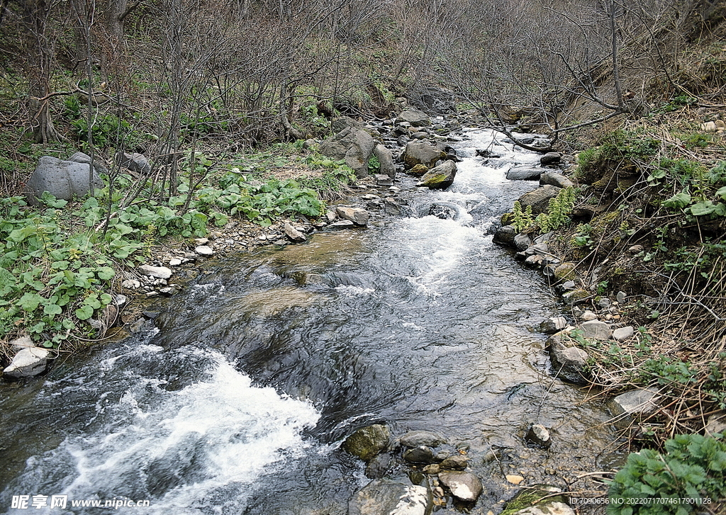 山涧溪流         