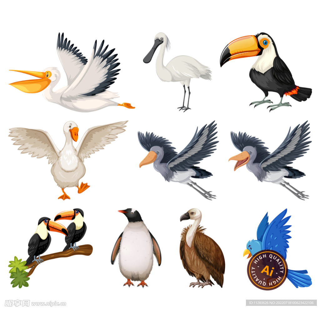 鸟类卡通设计