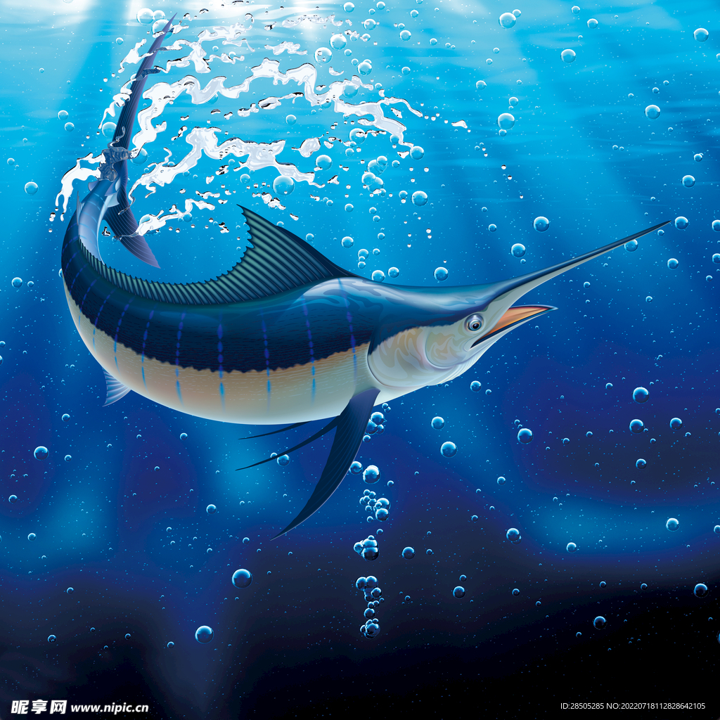 海底世界