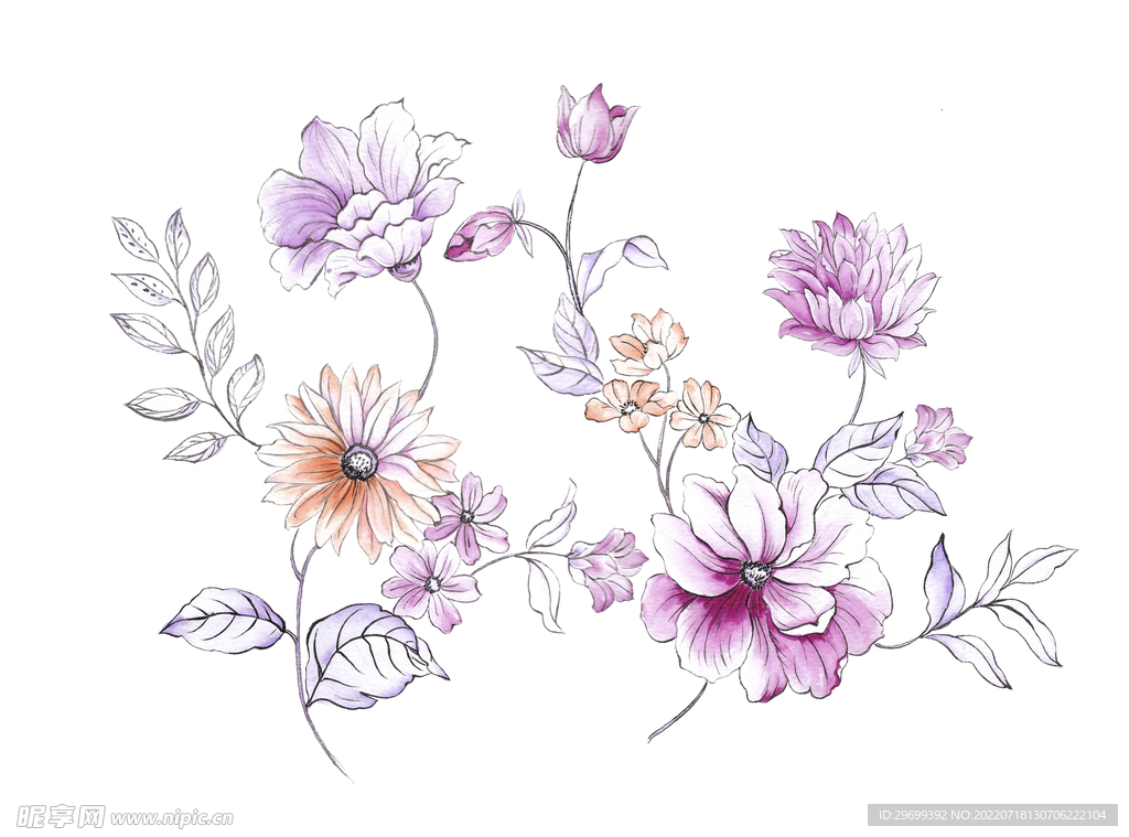花卉水彩