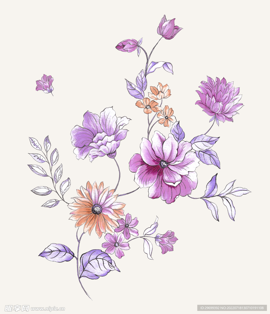 花卉水彩