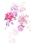花卉素材