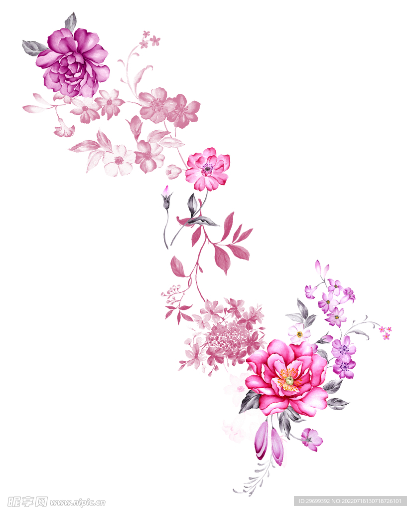 花卉水彩