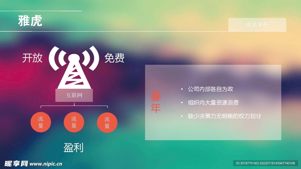 网络公司
