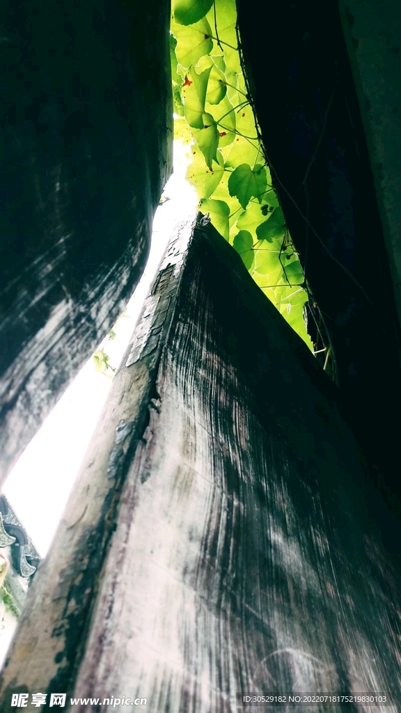 门
