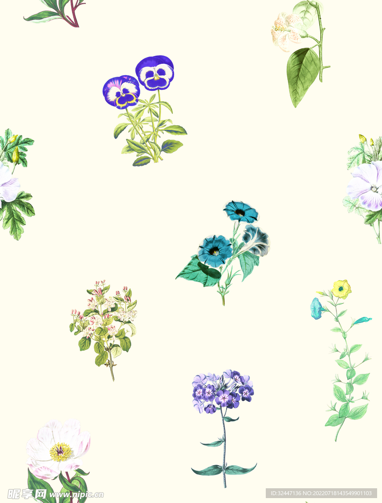 手绘花