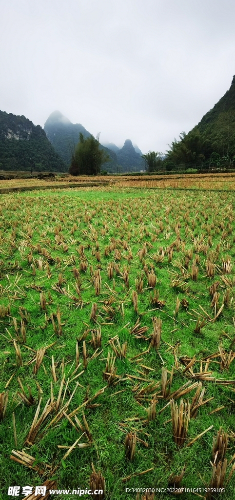 山区农田