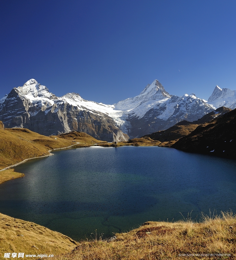 山