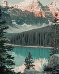 山