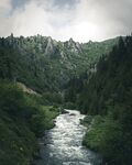 山