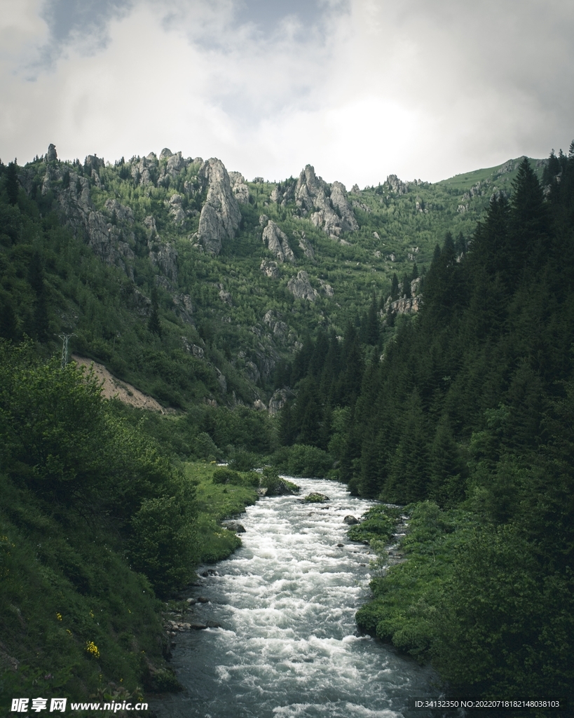 山