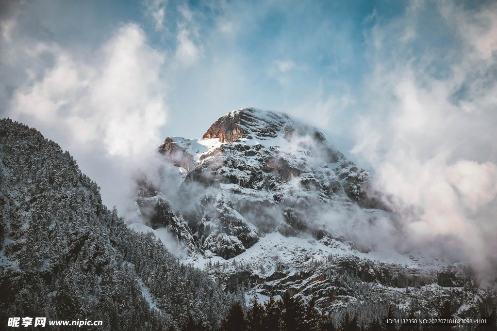 山
