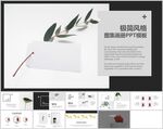 极简ins风图集画册PPT模板