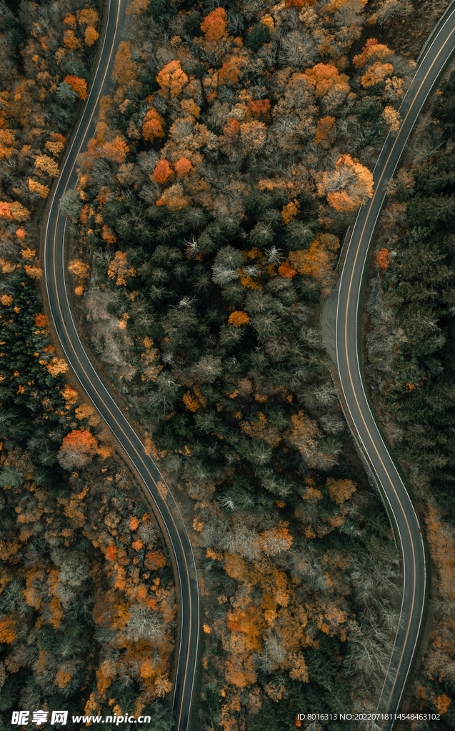公路