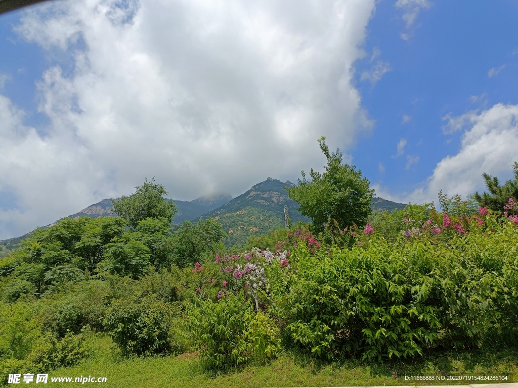 泰山风景