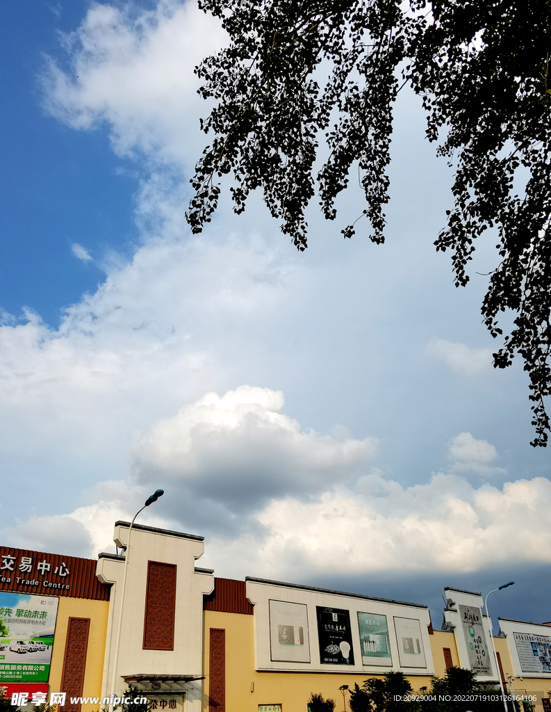 夏日天空