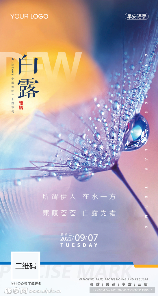 白露节气海报